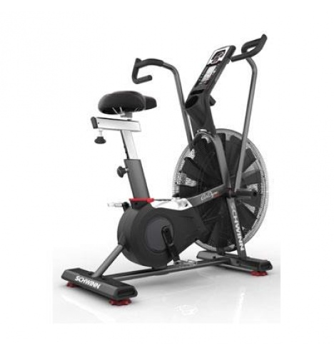 Schwinn Airdyne AD8 Pro